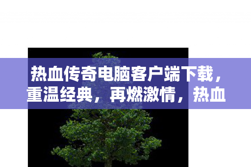 热血传奇电脑版下载 重温经典再燃激情图片