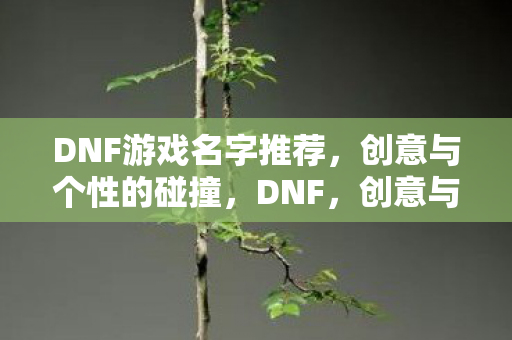 打造独一无二的游戏名字图片