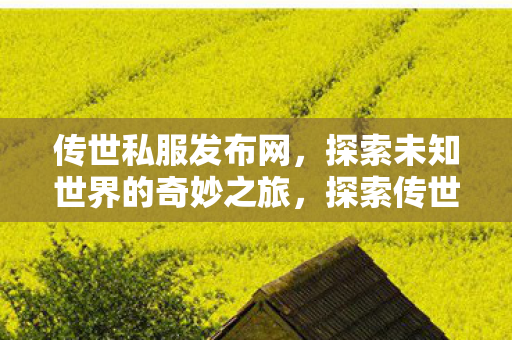 传世私服发布网,探索未知世界的奇妙之旅,探索传世私服发布网,开启未知世界的奇妙之旅 传世私服发布网,探索未知世界的奇妙之旅,探索传世私服发布网,开启未知世界的奇妙之旅
