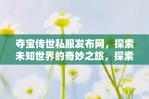 夺宝传世私服发布网,探索未知世界的奇妙之旅,探索未知世界的奇妙之旅,夺宝传世私服发布网 夺宝传世私服发布网,探索未知世界的奇妙之旅,探索未知世界的奇妙之旅,夺宝传世私服发布网