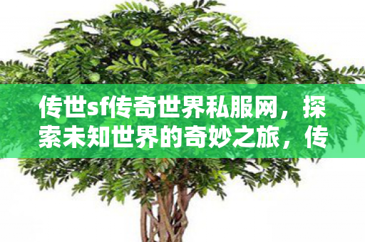 传世sf传奇世界私服网,探索未知世界的奇妙之旅,传世sf传奇世界私服网,开启探索未知世界的奇妙冒险 传世sf传奇世界私服网,探索未知世界的奇妙之旅,传世sf传奇世界私服网,开启探索未知世界的奇妙冒险