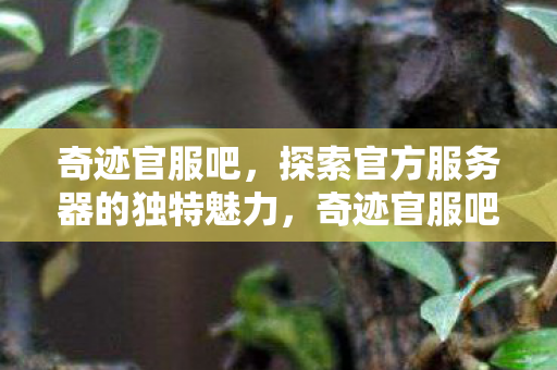 探索官方服务器的独特魅力图片