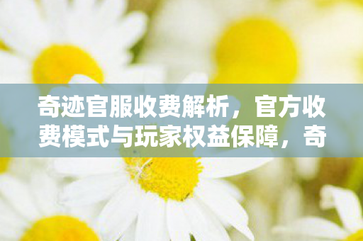 官方收费模式与玩家权益保障图片