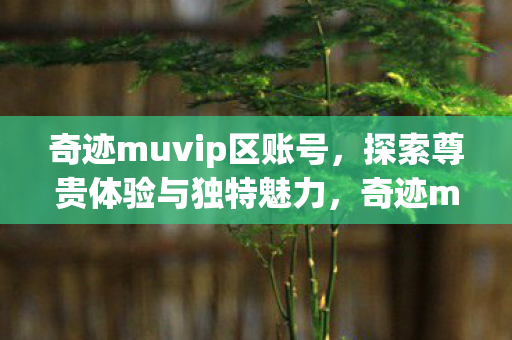 尊贵体验与独特魅力探索之旅图片