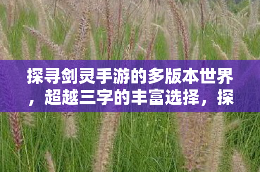 探寻剑灵手游的多版本世界,超越三字的丰富选择,探寻剑灵手游多版本世界,超越三字的丰富选择 探寻剑灵手游的多版本世界,超越三字的丰富选择,探寻剑灵手游多版本世界,超越三字的丰富选择
