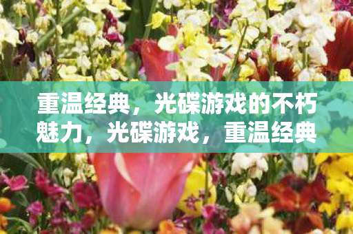 重温经典,光碟游戏的不朽魅力,光碟游戏,重温经典的不朽魅力 重温经典,光碟游戏的不朽魅力,光碟游戏,重温经典的不朽魅力