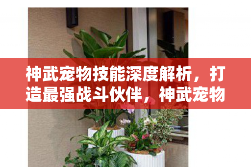 神武宠物技能深度解析，打造最强战斗伙伴，神武宠物技能全解析，打造最强战斗伙伴