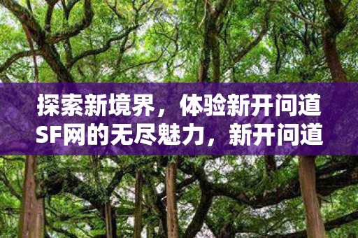体验新开问道SF网的无尽魅力图片