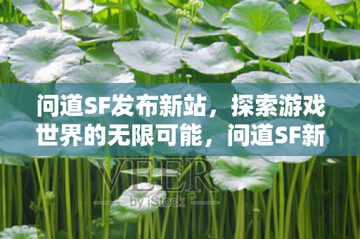 探索游戏世界的无限可能图片
