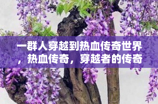 一群人穿越到热血传奇世界图片