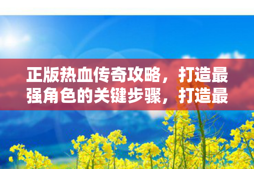 正版热血传奇攻略关键步骤图片