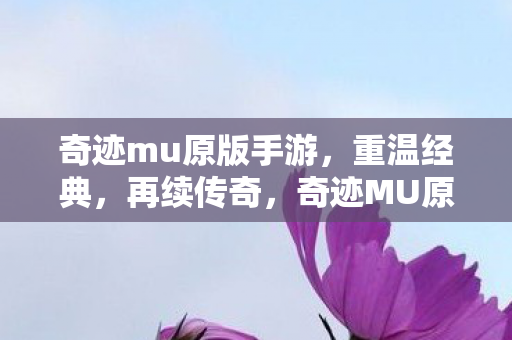 奇迹mu原版手游图片