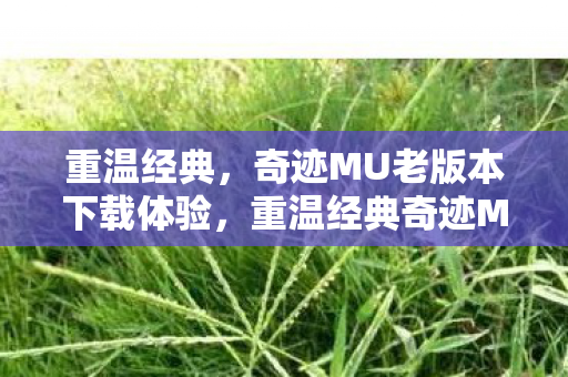 奇迹MU老版本下载体验图片