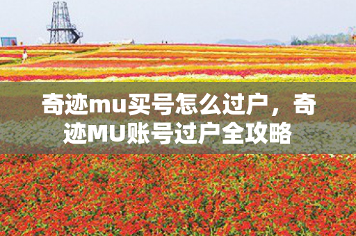 奇迹MU账号过户全攻略图片