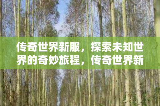 探索未知世界的奇妙旅程图片