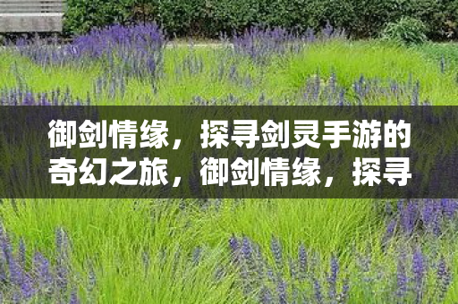 御剑情缘,探寻剑灵手游的奇幻之旅,御剑情缘,探寻奇幻的剑灵手游之旅 御剑情缘,探寻剑灵手游的奇幻之旅,御剑情缘,探寻奇幻的剑灵手游之旅