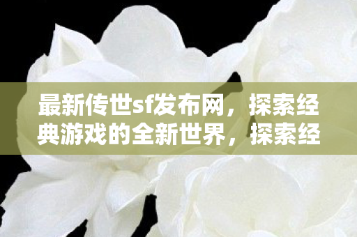 探索经典游戏的全新世界图片