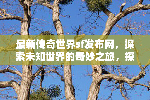 最新传奇世界sf发布网图片
