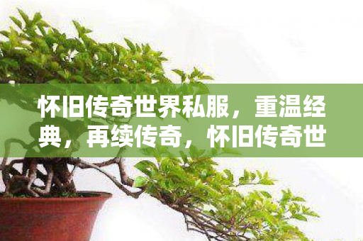 怀旧传奇世界私服图片