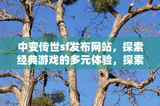 探索经典游戏的多元体验图片
