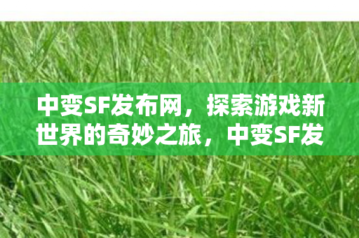 探索游戏新世界的奇妙之旅图片