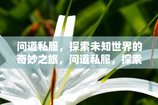 探索未知世界的奇妙之旅图片