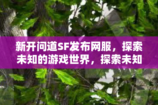新开问道SF发布网服,探索未知的游戏世界,探索未知游戏世界,全新问道SF发布网服开启 新开问道SF发布网服,探索未知的游戏世界,探索未知游戏世界,全新问道SF发布网服开启