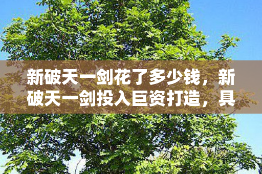 新破天一剑投入巨资打造图片