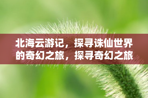 北海云游记与诛仙世界的交汇图片