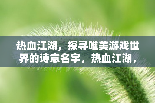 探寻唯美游戏世界的诗意名字图片