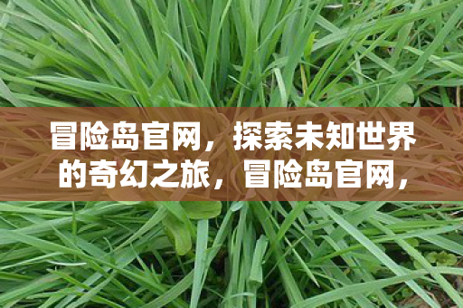 开启探索未知世界的奇幻之旅图片