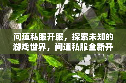问道私服开服,探索未知的游戏世界,问道私服全新开服,开启探索未知游戏世界的冒险之旅 问道私服开服,探索未知的游戏世界,问道私服全新开服,开启探索未知游戏世界的冒险之旅