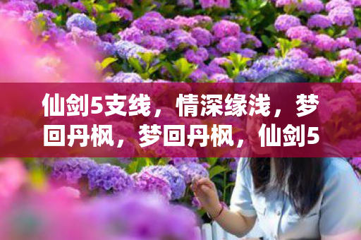 仙剑5支线，情深缘浅，梦回丹枫，梦回丹枫，仙剑5支线情深缘浅
