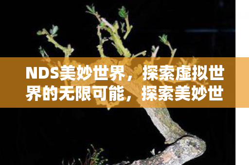 NDS美妙世界，探索虚拟世界的无限可能，探索美妙世界，解锁虚拟世界的无限可能