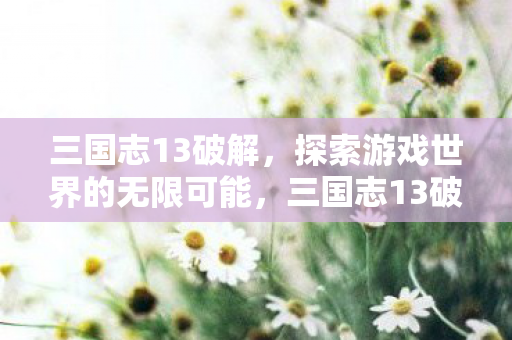三国志13破解,探索游戏世界的无限可能,三国志13破解版,解锁游戏世界的无限可能 三国志13破解,探索游戏世界的无限可能,三国志13破解版,解锁游戏世界的无限可能