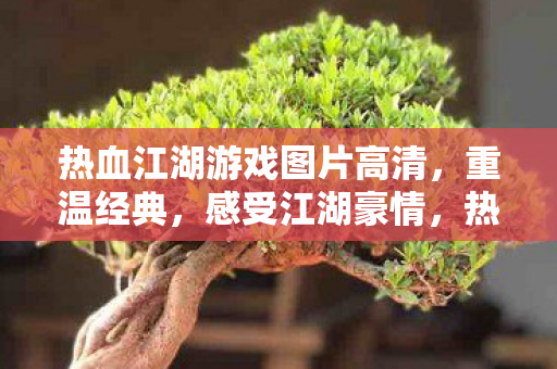 热血江湖游戏图片高清图片