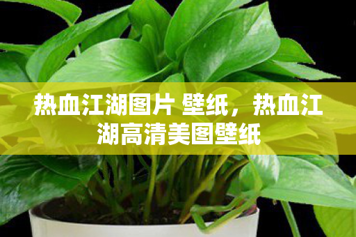 热血江湖高清美图壁纸图片