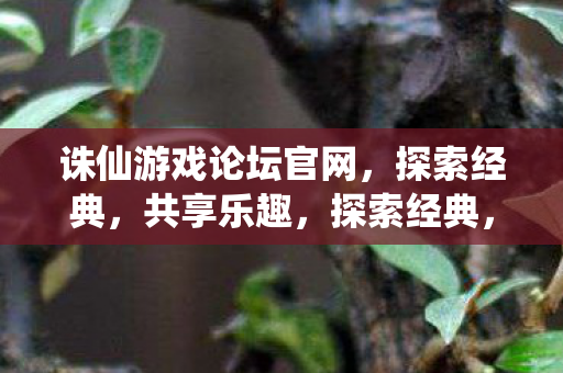 诛仙游戏论坛官网图片
