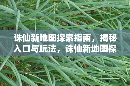 诛仙新地图探索全攻略图片