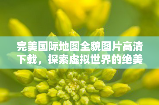 完美国际地图全貌图片高清下载图片