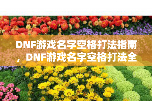 DNF游戏名字空格打法全解析图片