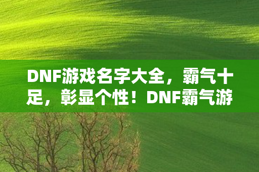 DNF霸气游戏名字大全图片