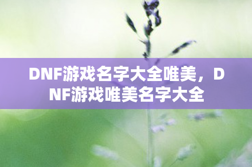 DNF游戏名字大全唯美图片