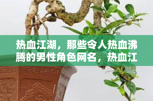 那些令人热血沸腾的男性角色网名图片