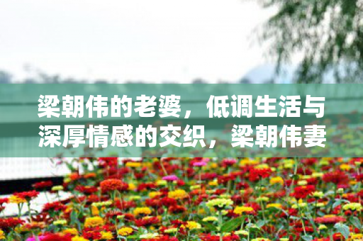 梁朝伟的老婆,低调生活与深厚情感的交织,梁朝伟妻子,低调生活与深厚情感的交织 梁朝伟的老婆,低调生活与深厚情感的交织,梁朝伟妻子,低调生活与深厚情感的交织