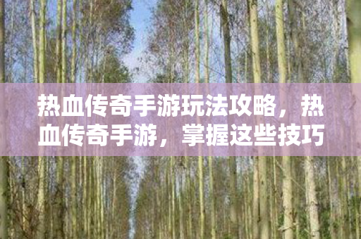 热血传奇手游玩法攻略图片
