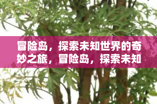 探索未知世界的奇妙之旅图片