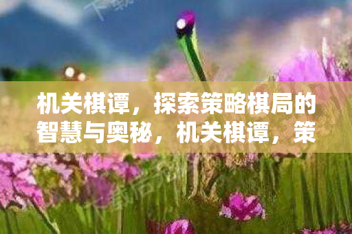 探索策略棋局的智慧与奥秘图片