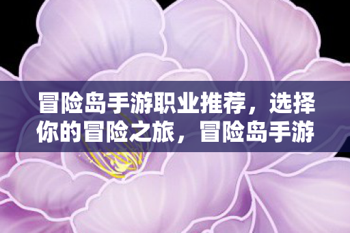 冒险岛手游职业推荐图片