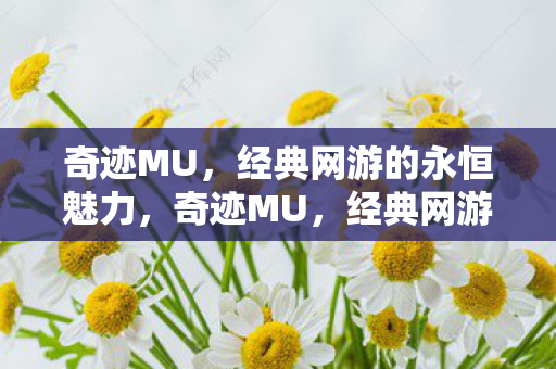 经典网游的永恒魅力图片